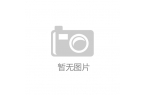 节专利提高 LCD 投影机听觉效果pg模